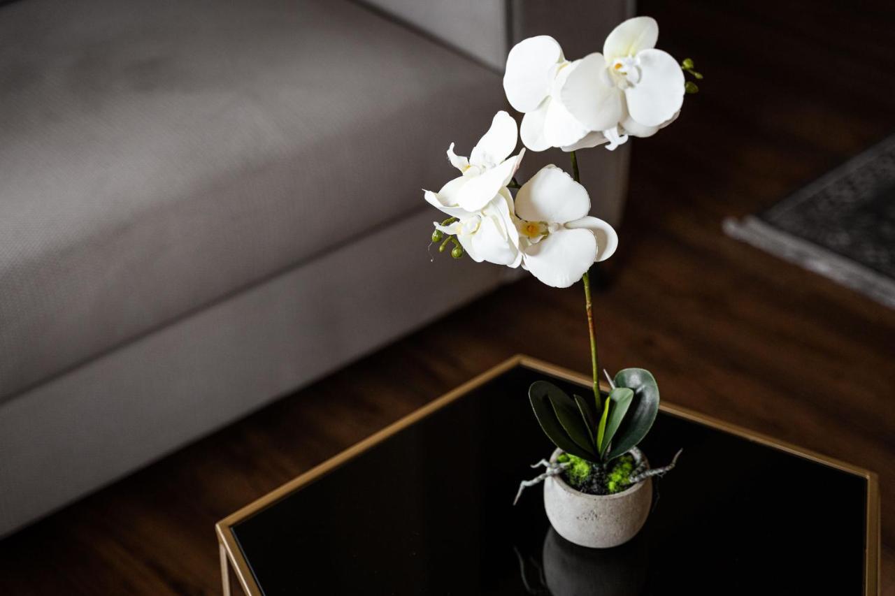 Glyfada Premium Residence أثينا المظهر الخارجي الصورة